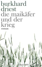 Die Maikäfer und der Krieg