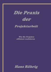 Die Praxis der Projektarbeit