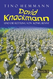 Die Rettung von König Benny (David Knackmann, Band 2)