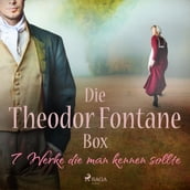 Die Theodor-Fontane-Box 7 Werke die man kennen sollte