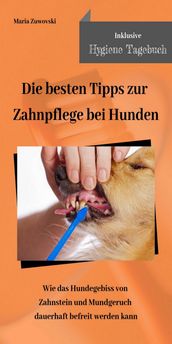 Die besten Tipps zur Zahnpflege bei Hunden