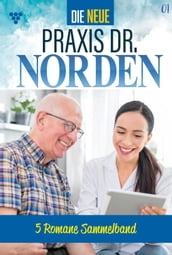 Die neue Praxis Dr. Norden Sammelband 1 Arztserie