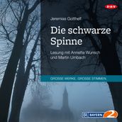 Die schwarze Spinne