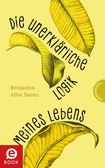 Die unerklärliche Logik meines Lebens - Benjamin Alire Sáenz - Kerstin Schurmann Formlabor