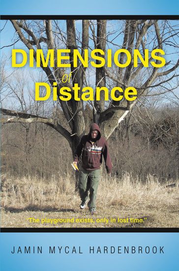 Dimensions of Distance - Jamin Mycal Hardenbrook