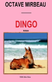 Dingo