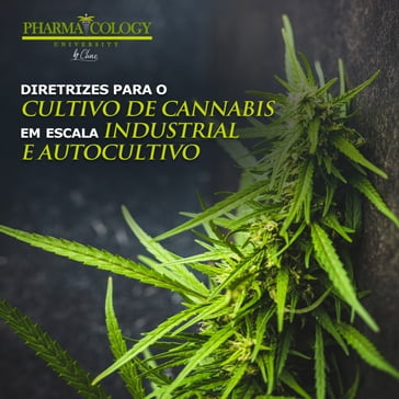 Diretrizes para o cultivo de cannabis em escala industrial e autocultivo - Pharmacology University