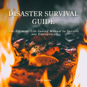 Disaster Survival Guide - David Burke