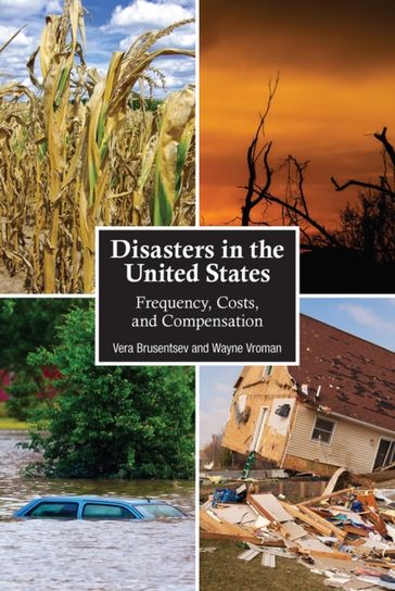 Disasters in the United States - Vera Brusentsev