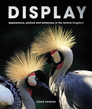 Display - Steve Parker