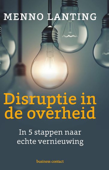 Disruptie in de overheid - Menno Lanting