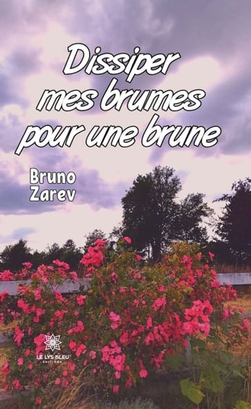 Dissiper mes brumes pour une brune - Bruno Zarev