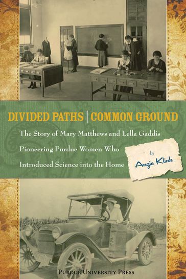 Divided Paths, Common Ground - Angie Klink