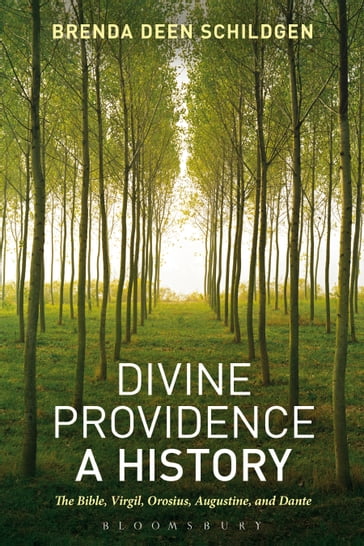 Divine Providence: A History - Brenda Deen Schildgen