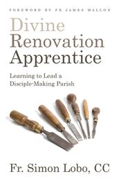 Divine Renovation Apprentice