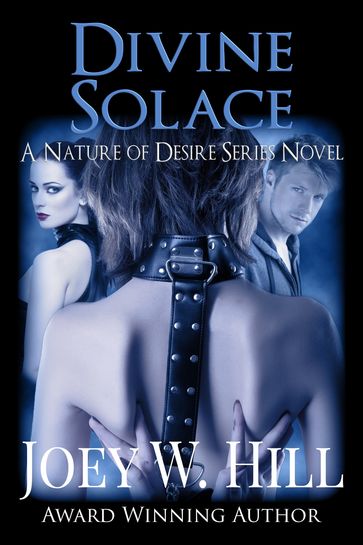 Divine Solace - Joey W. Hill