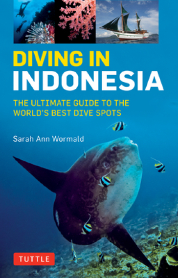 Diving in Indonesia - Sarah Ann Wormald