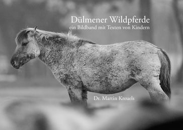 Dülmener Wildpferde - Martin Kreuels