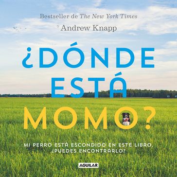 Dónde está Momo? - Andrew Knapp