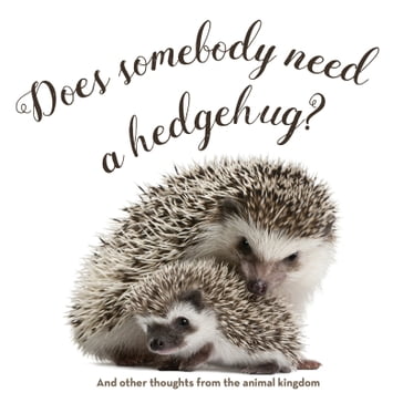 Does Somebody Need a Hedgehug? - Gibbs Smith Publisher