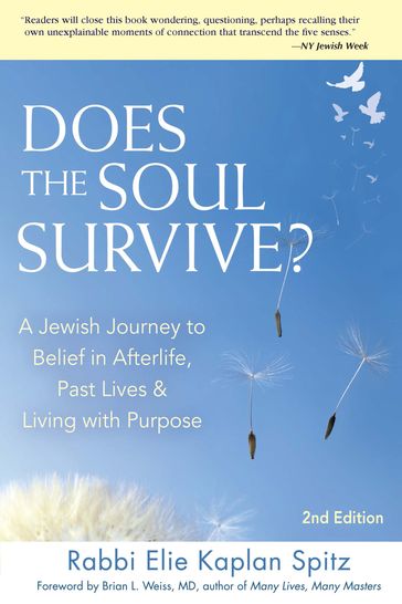 Does the Soul Survive? (2nd Edition) - Rabbi Elie Kaplan Spitz