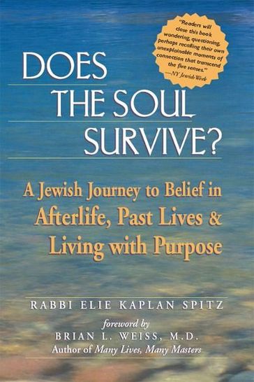 Does the Soul Survive?: A Jewish Journey to Belief in Afterlife, Past Lives & Living with Purpose - Rabbi Elie Kaplan Spitz