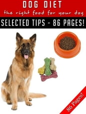 Dog Diet The Right Food For Your Dog