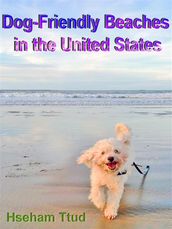 Dog-Friendly Beaches in the United States