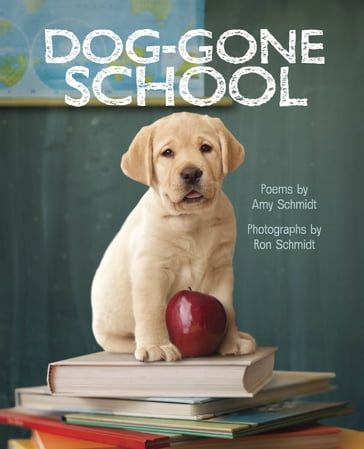 Dog-Gone School - Amy Schmidt