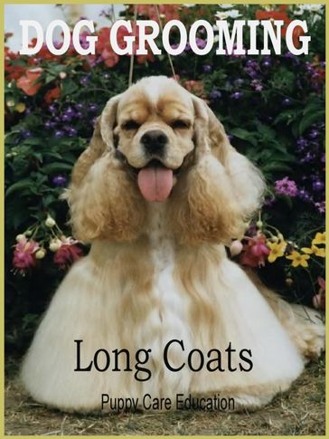 Dog Grooming Long Coats - Puppy Care Education