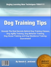 Dog Training Tips