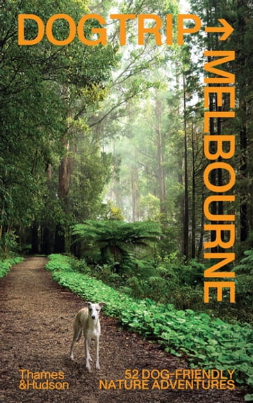 Dog Trip Melbourne - Evi O - Andrew Grune