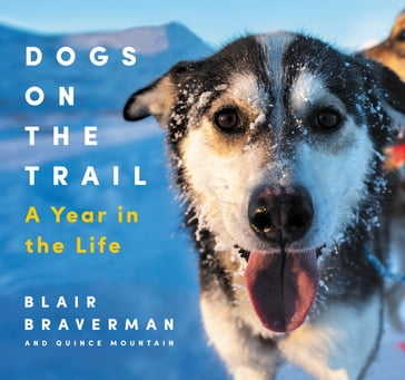 Dogs on the Trail - Blair Braverman - Quince Mountain