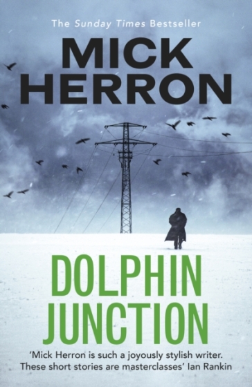 Dolphin Junction - Mick Herron