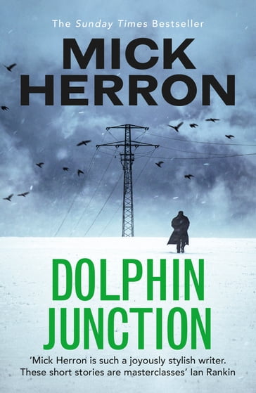 Dolphin Junction - Mick Herron