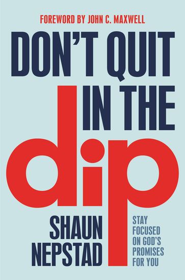 Don't Quit in the Dip - Shaun Nepstad