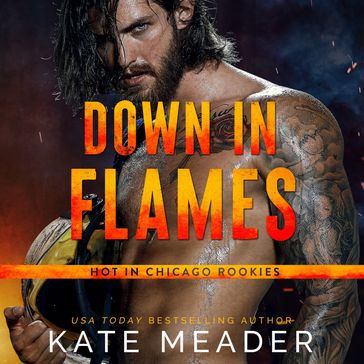 Down In Flames - Kate Meader