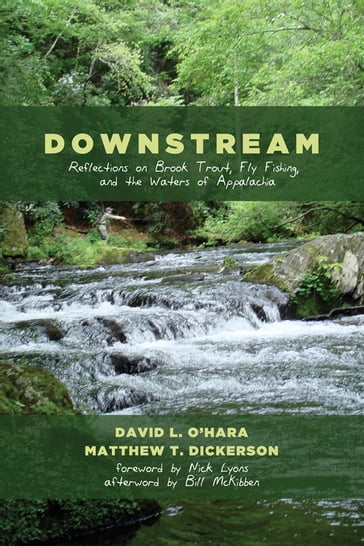 Downstream - Bill McKibben - David L. O