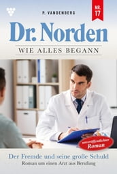 Dr. Norden Wie alles begann 17 Arztroman