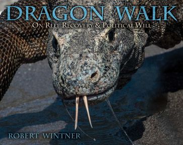 Dragon Walk - Robert Wintner