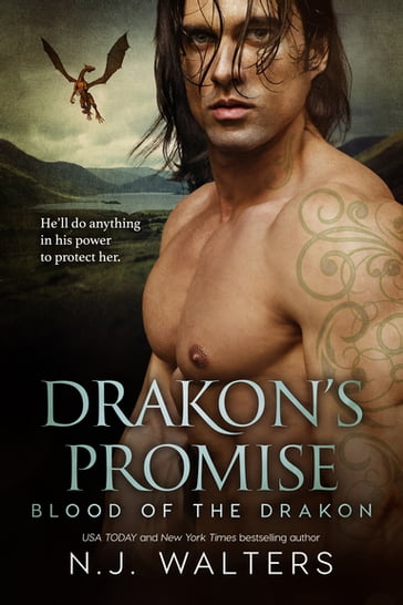 Drakon's Promise - N.J. Walters