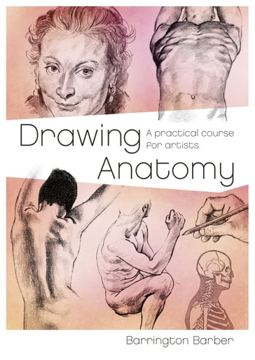 Drawing Anatomy - Barber Barrington