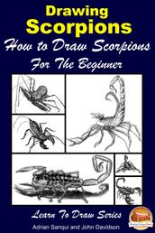 Drawing Scorpions: How to Draw Scorpions For the Beginner