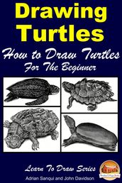 Drawing Turtles: How to Draw Turtles For the Beginner