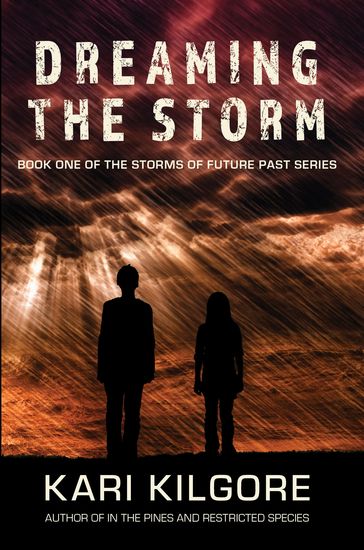 Dreaming the Storm - Kari Kilgore