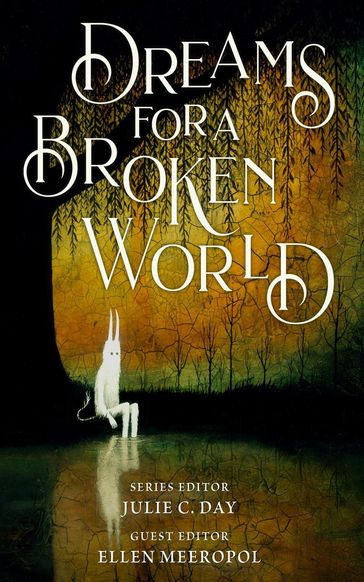 Dreams for a Broken World - Julie C. Day - Ellen Meeropol