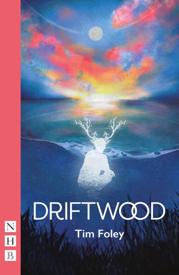 Driftwood (NHB Modern Plays) - Tim Foley