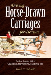 Driving Horse-Drawn Carriages for Pleasure