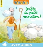 Drôle de petit mouton !