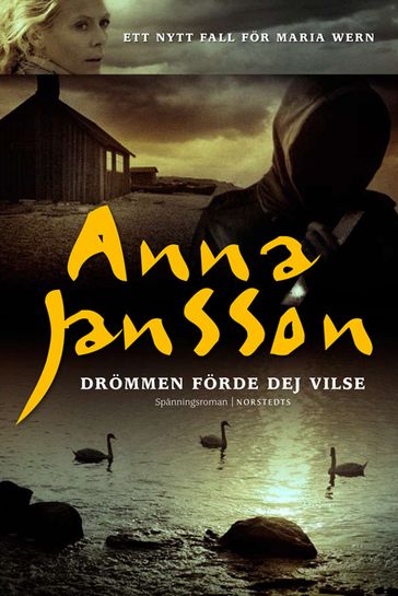 Drömmen förde dej vilse - Anna Jansson